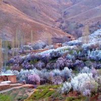 سفر به کاشان در نوروز 1397